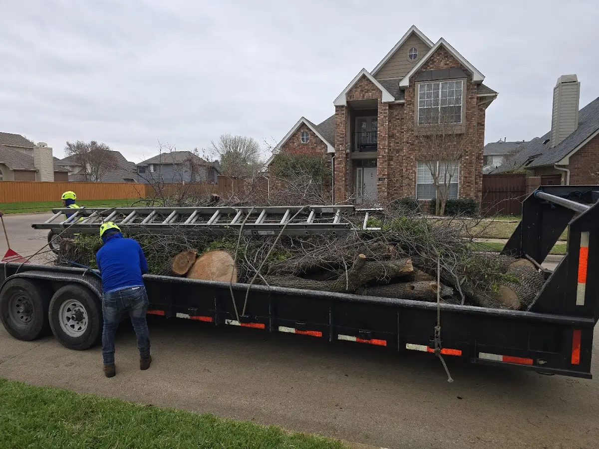 Expert Tree Fertilization with proper safety equipment in Mount Freedom
